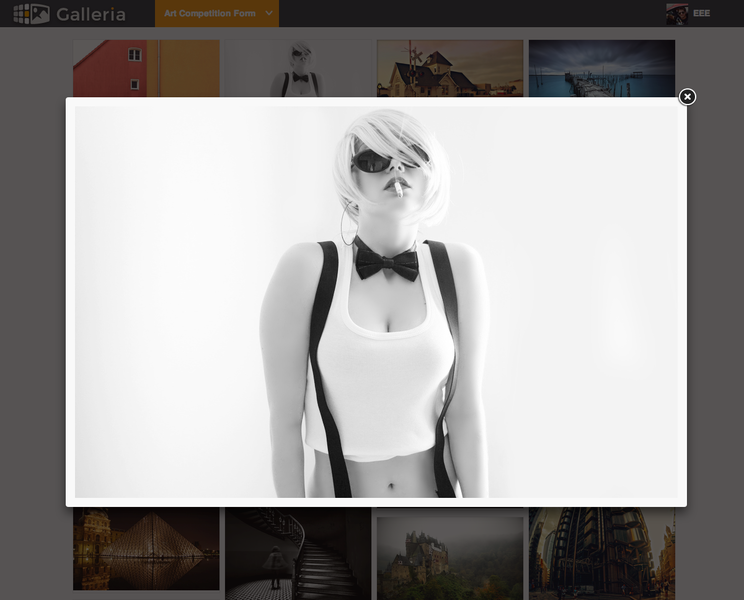 Galleria Screenshot 2