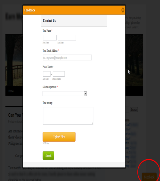 Wordpress Feedback Button Screenshot 7