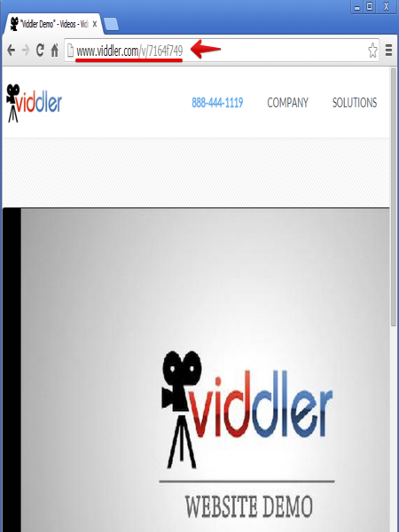 Viddler Screenshot 2
