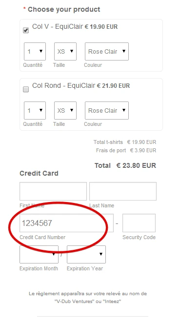 Field mask for credit card: how to apply ? Image 1 Screenshot 30