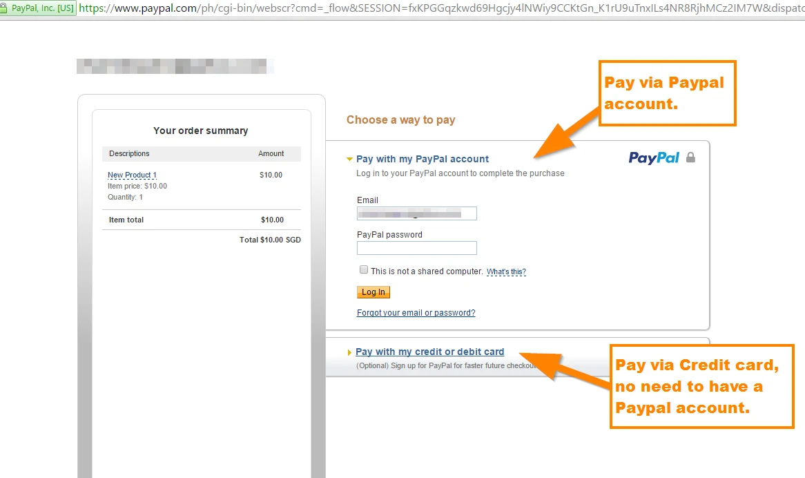 PayPal payment form: How to create a payment form?  Image 3 Screenshot 62