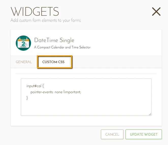 DateTime Single widget   New widget wizard is not recognizing injected CSS codes Image 1 Screenshot 20