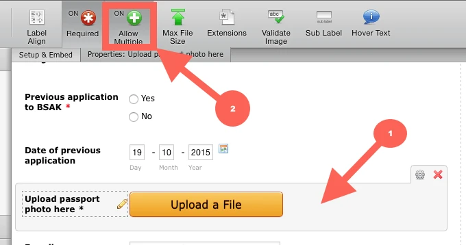 How can i bulk download uploads to a form? Image 1 Screenshot 20