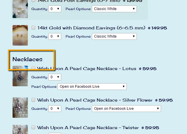 How can I title segments in the Purchase Order Wizard? Such as Earrings, Necklaces, etc Screenshot 20