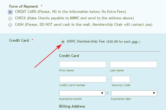 Selecting the product by default on payment field using Authorize Screenshot 30