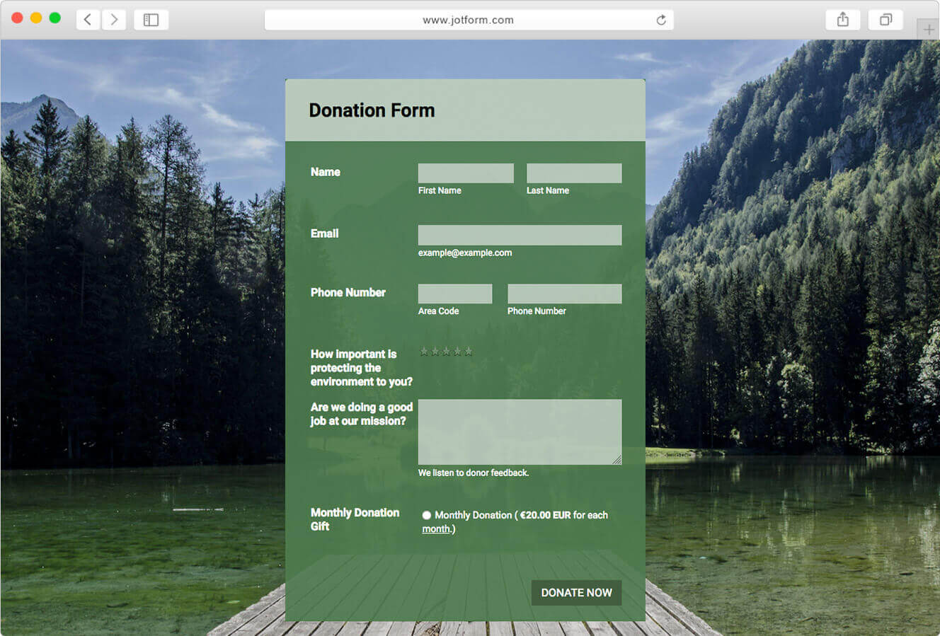 Donation Form