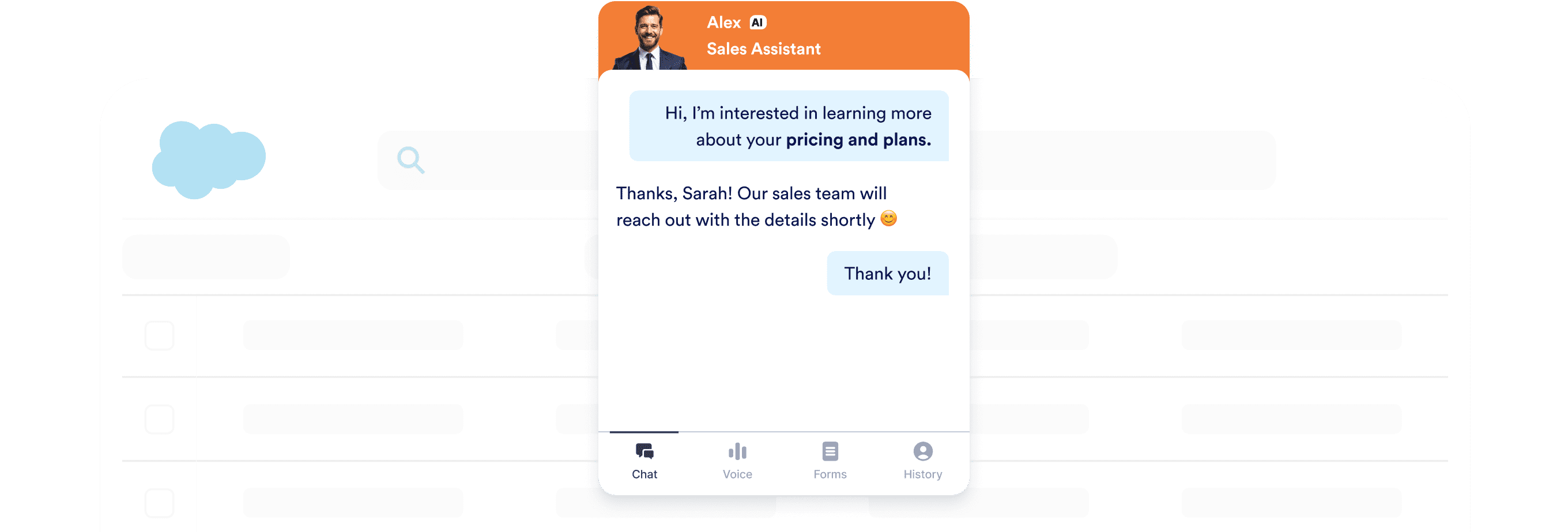 Salesforce Agent chatbot screen