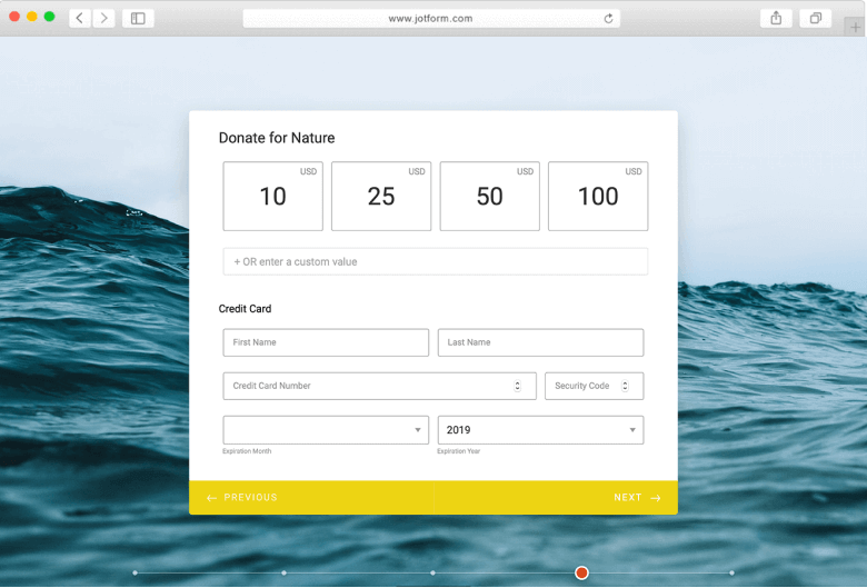 Donation Form