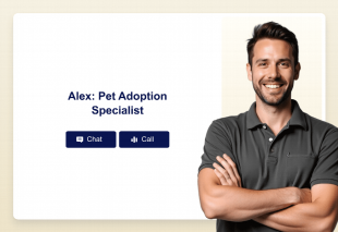 Pet Adoption Recommendation AI Agent Template Thumbnail