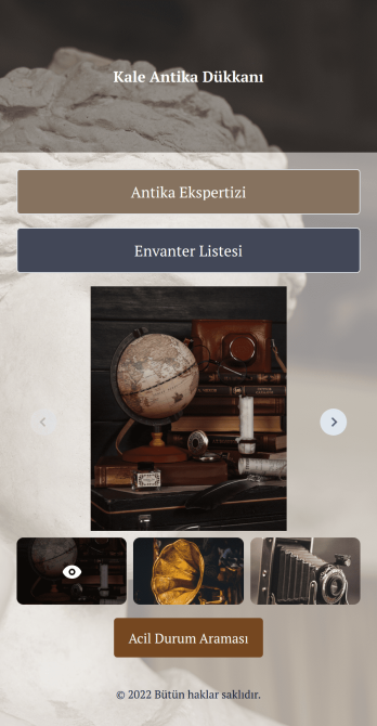 Antika Ekspertiz Uygulaması Template
