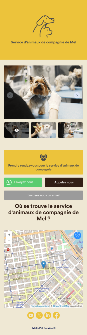 Application de toilettage pour chiens Template