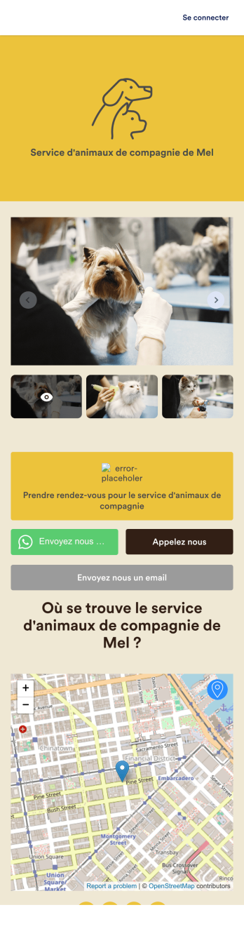 Application de toilettage pour chiens Template