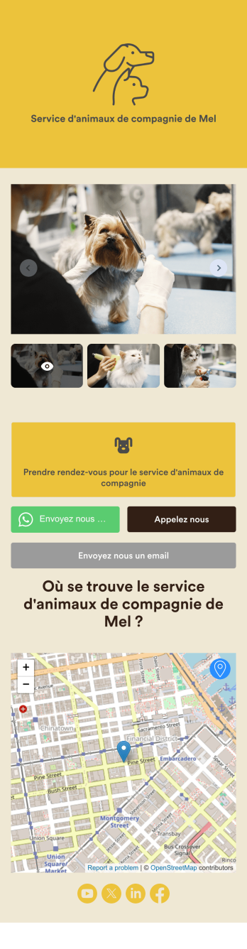 Application de toilettage pour chiens Template