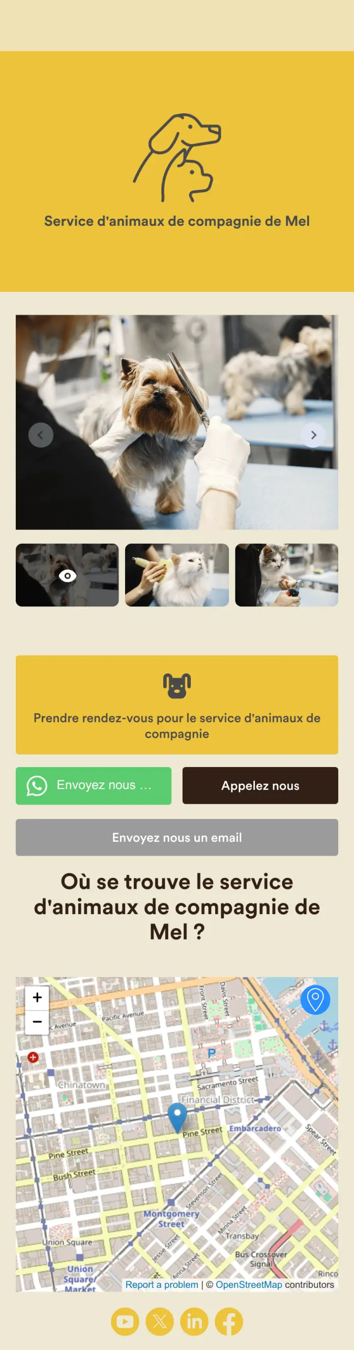 Application de toilettage pour chiens