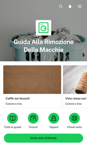 Applicazione Guida alla Rimozione delle Macchie