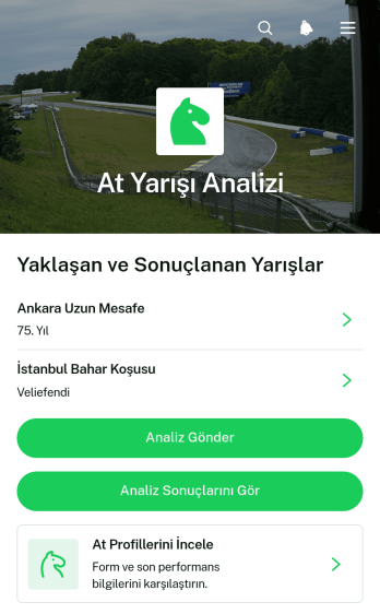 At Yarışı Analiz Uygulama Șablonu