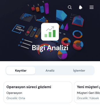 Bilgi Analizi Uygulama Șablonu
