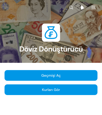 Döviz Çevirici Uygulama Șablonu