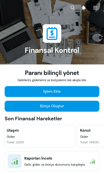 Finansal Kontrol Uygulama Șablonu