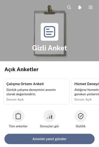 Gizli Anket Uygulama Șablonu