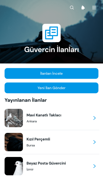 Güvercin İlanları Uygulama Șablonu