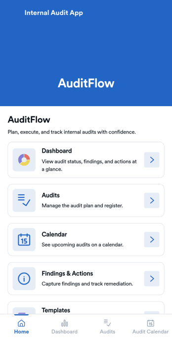 Internal Audit App Template