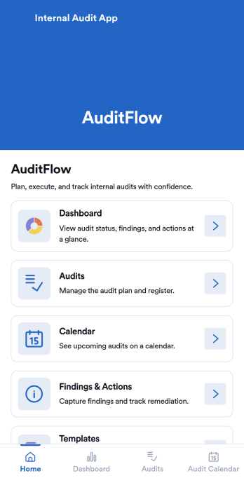 Internal Audit App Template