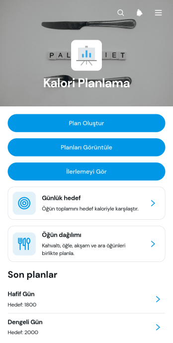 Kalori Planlama Uygulama Șablonu
