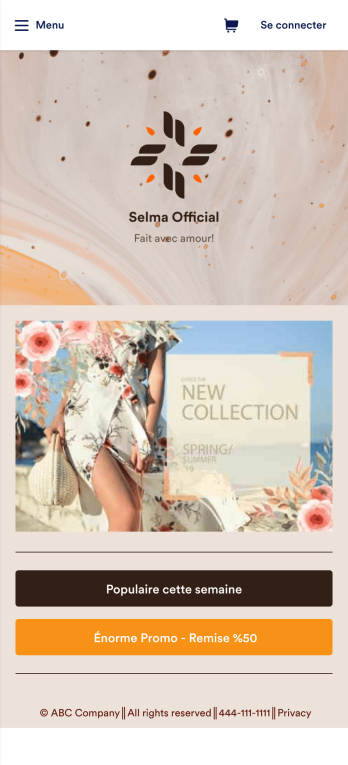 Modèle d'application de e-commerce Template