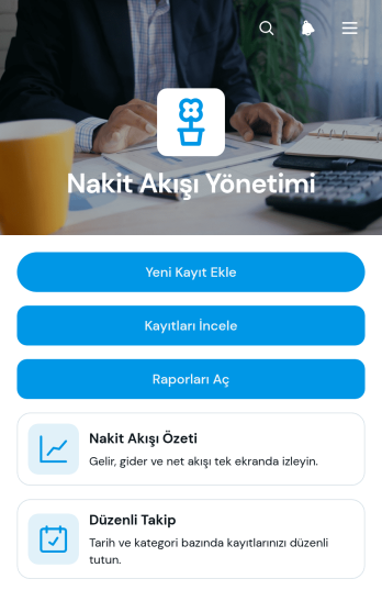 Nakit Akışı Yönetimi Uygulama Șablonu