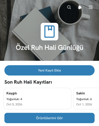 Özel Ruh Hali Günlüğü Uygulama Șablonu