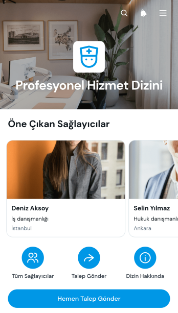 Profesyonel Hizmetler Rehberi Uygulama Șablonu