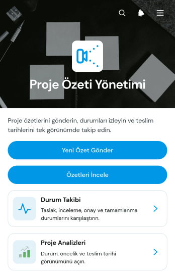 Proje Özeti Yönetim Uygulama Șablonu