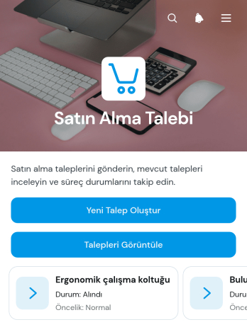 Satın Alma Talep Uygulama Șablonu