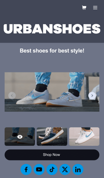 Shoe Selling App Template