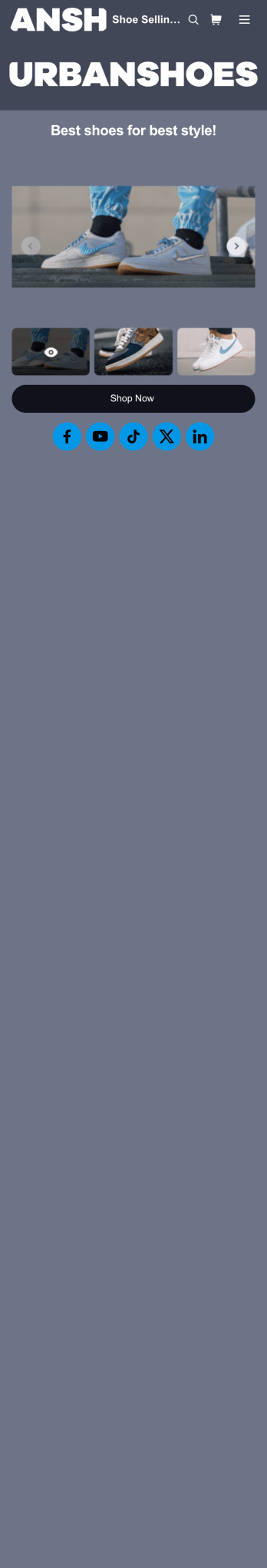 Customizable Shoe Selling App