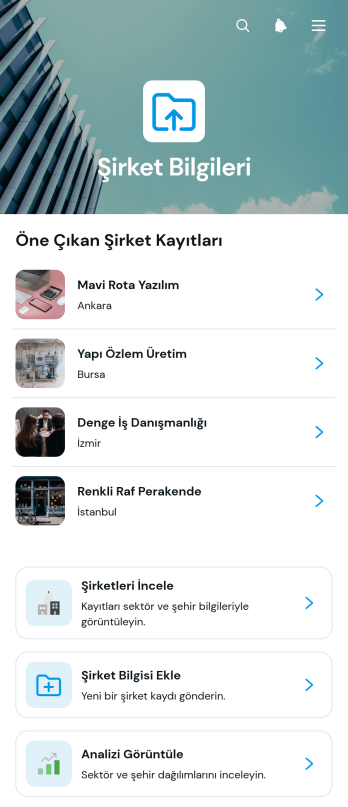 Şirket Bilgileri Uygulama Șablonu