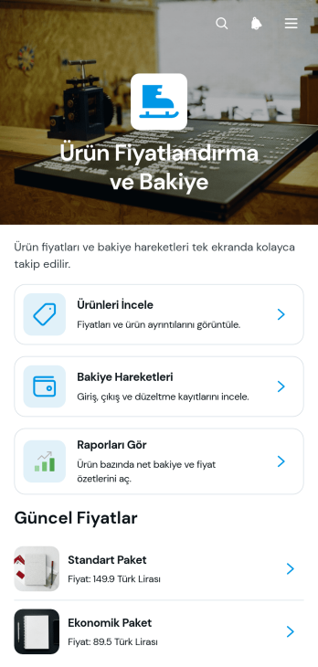 Ürün Fiyatlandırma ve Bakiye Uygulama Șablonu