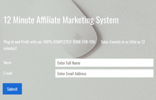12 Minute Affiliate System Marketing System Form Template