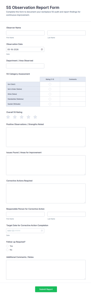 5S Observation Report Form Template