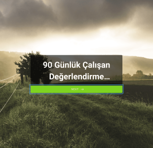 90 Günlük Çalışan Değerlendirme Form Template