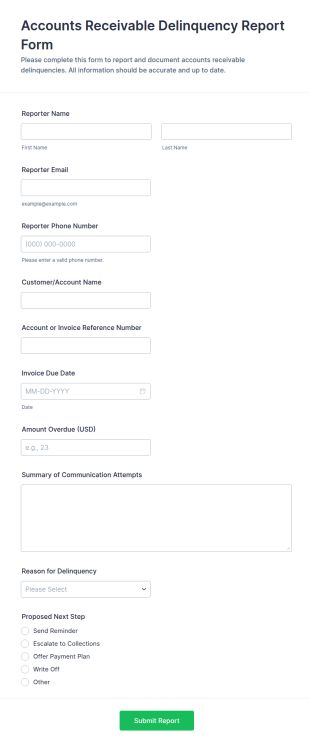 Accounts Receivable Delinquency Report Form Template