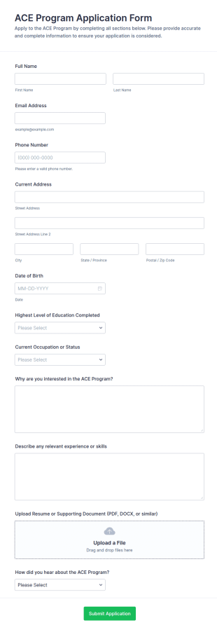 ACE Program Application Form Template