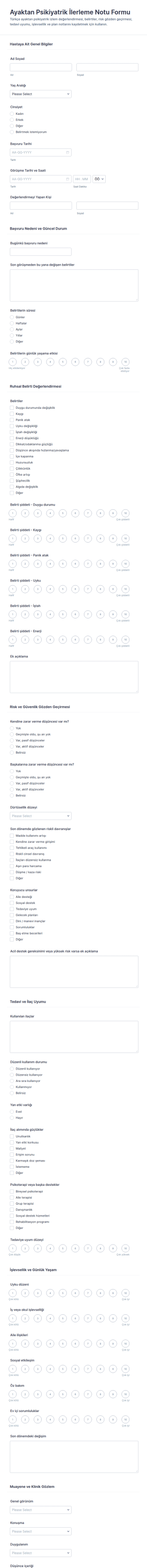Açık Rapor Notu Form Şablonu