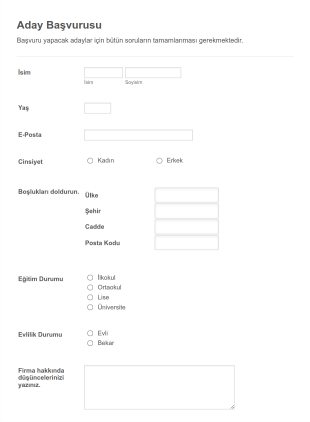 Aday Başvuru Form Template