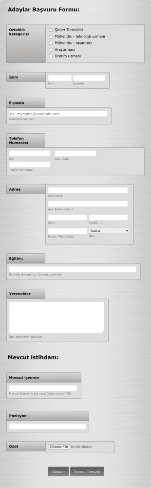 Aday İş Başvuru Form Template