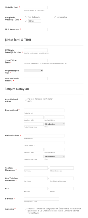 Adım Adım Şirket Bilgi Form Şablonu