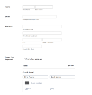 Adult Co Ed Softball League Registration Form Template