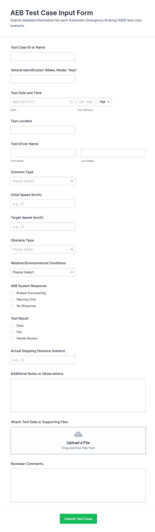 AEB Test Case Input Form Template