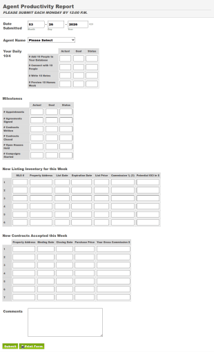 Agent Productivity Report Form Template